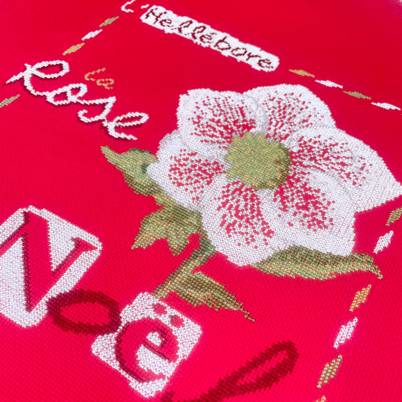 Christmas Rose - Image 2