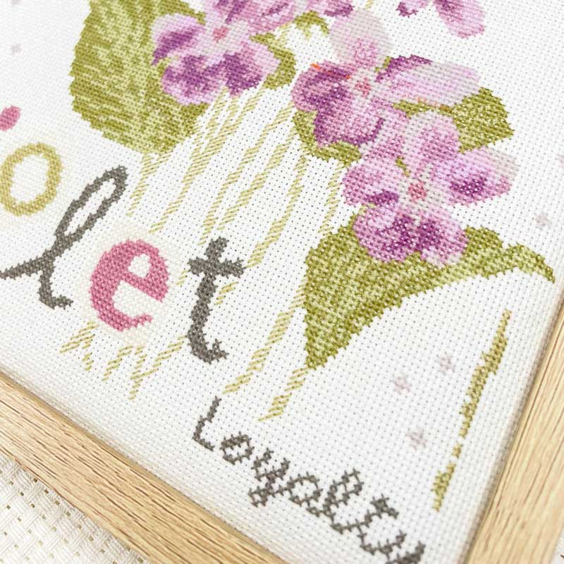 Violet – Image 3