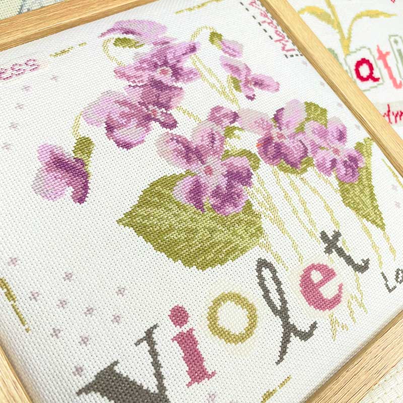 Violet – Image 2
