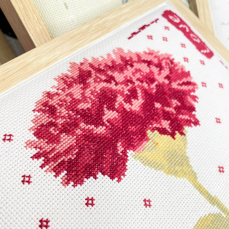 Carnation – Image 5