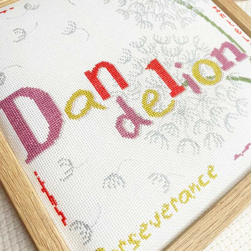 Dandelion – Image 4