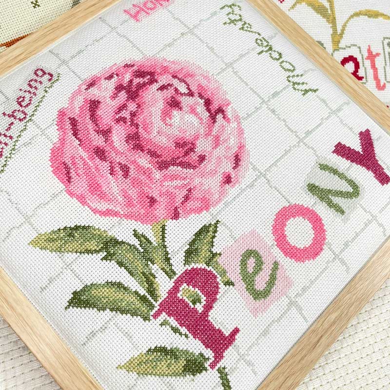 Peony – Image 3