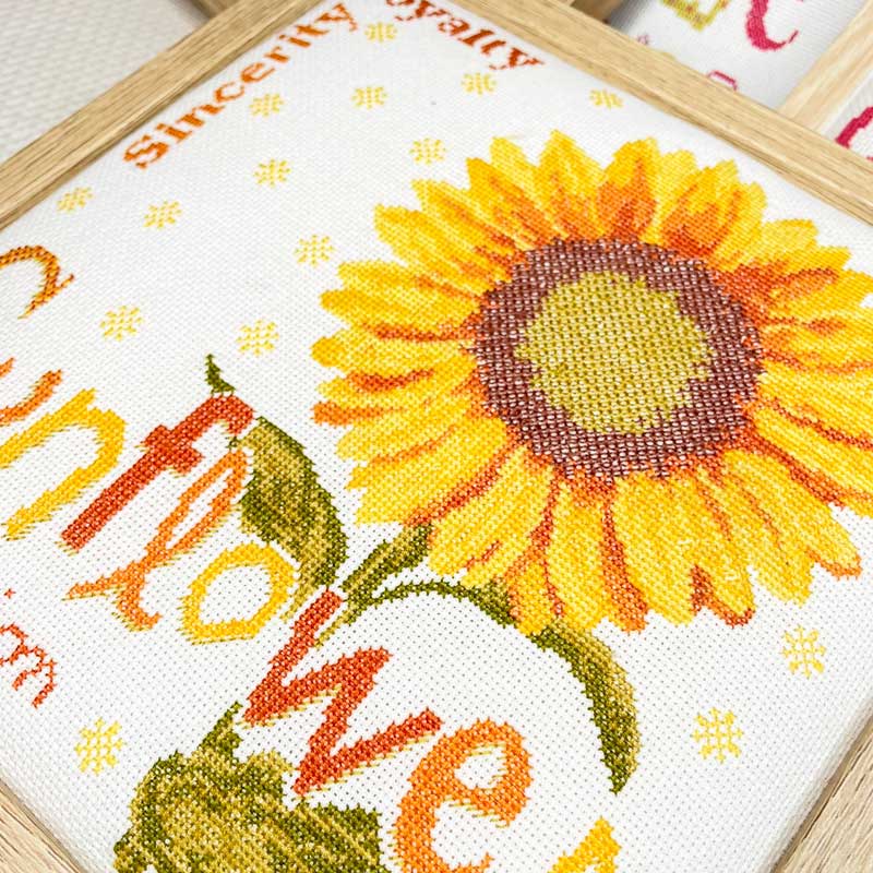 Sunflower – Image 4