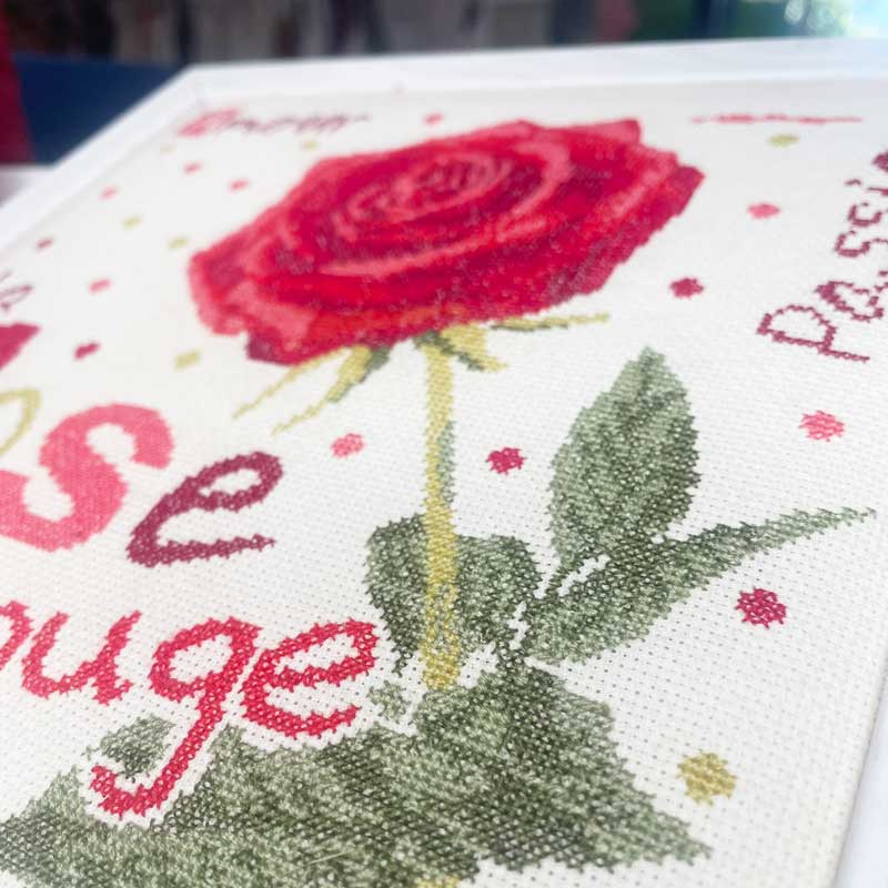Red rose - Image 2