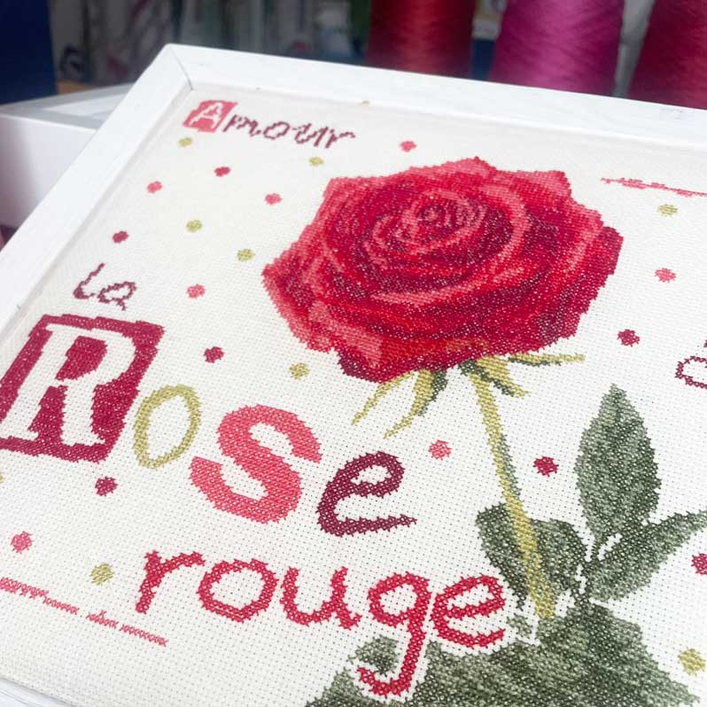 Red rose - Image 3