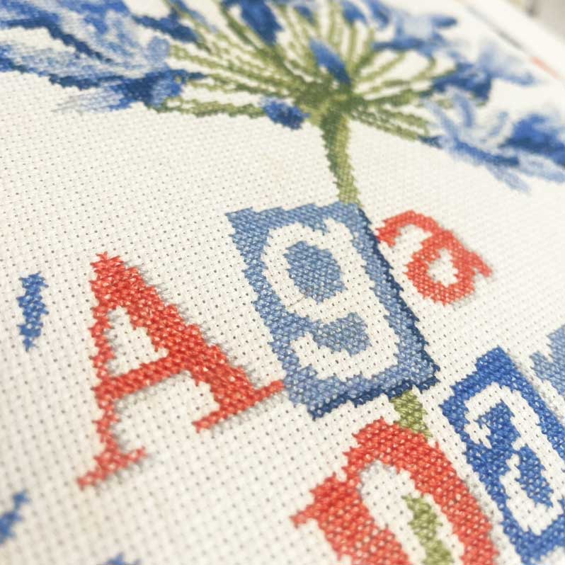 L'agapanthe – Image 4