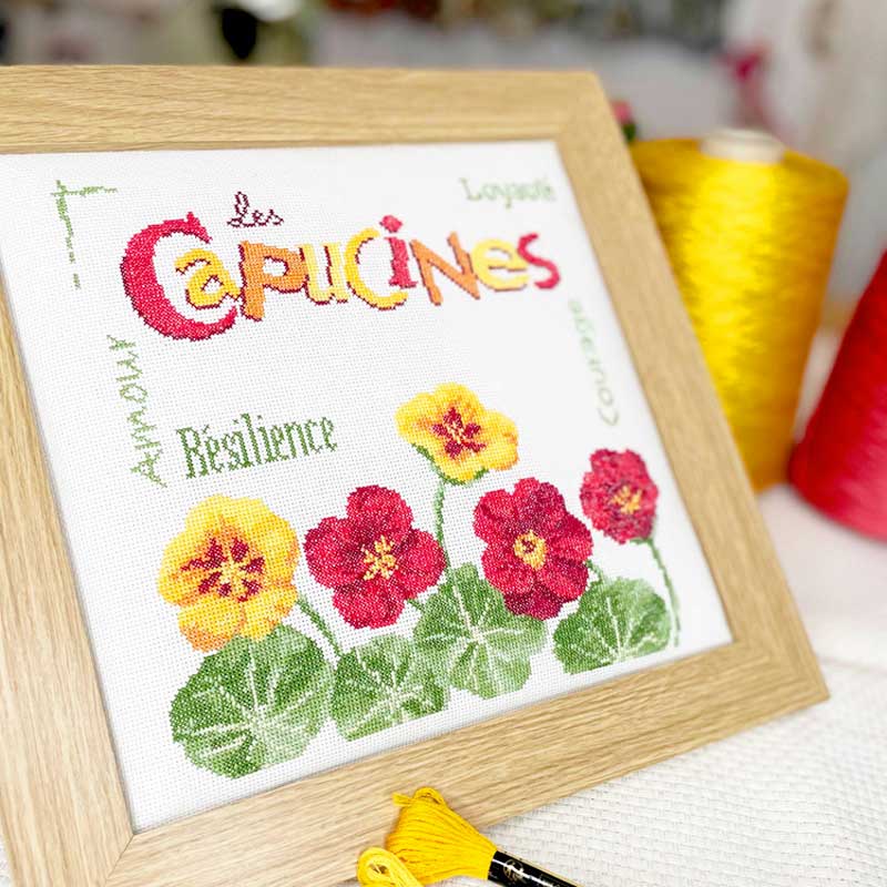 Les capucines - Image 2