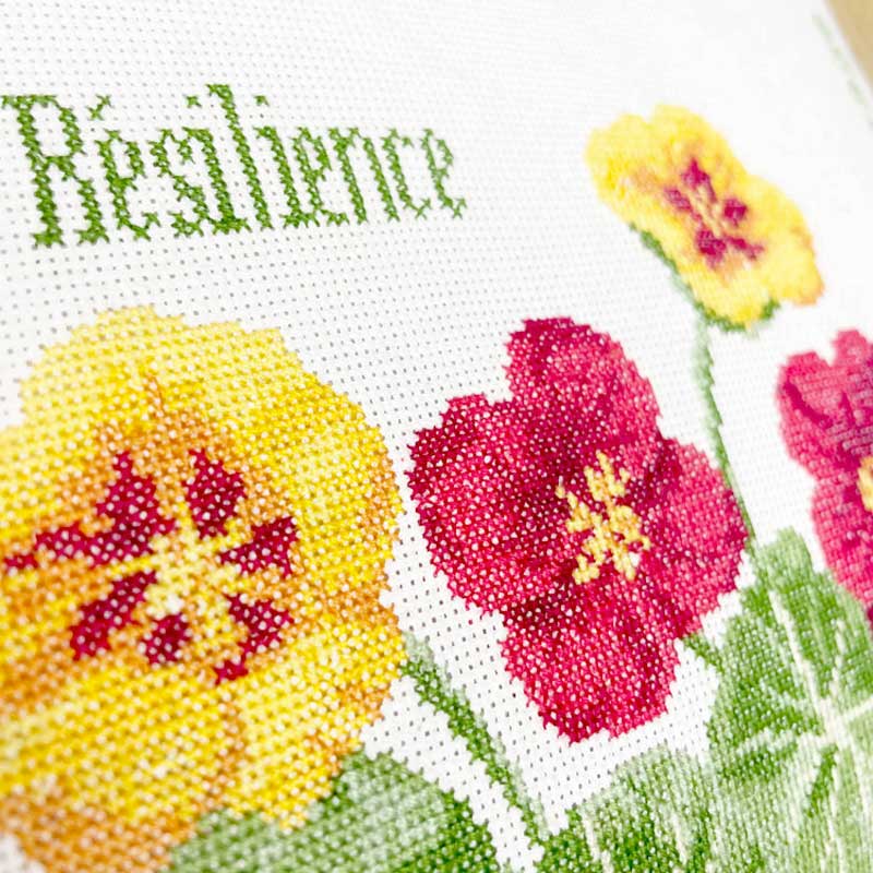 Les capucines - Image 3